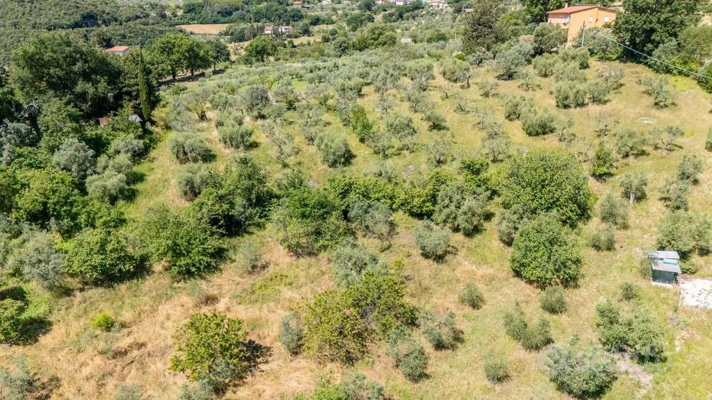 Terreno di 5460 m² a Salisano - Vista 5