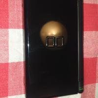nintendo ds lite 