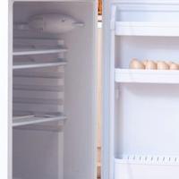 “Frigorifero funzionante –