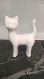 Gatto bianco