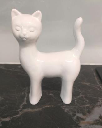Gatto bianco