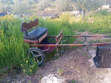 calesse per poni