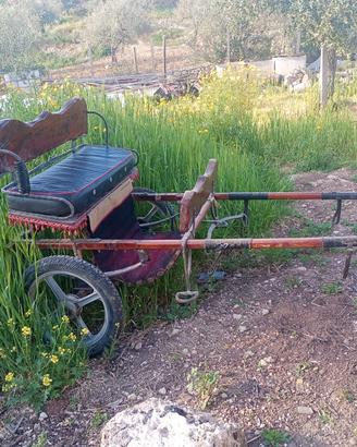 calesse per poni