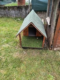 cuccia cane
