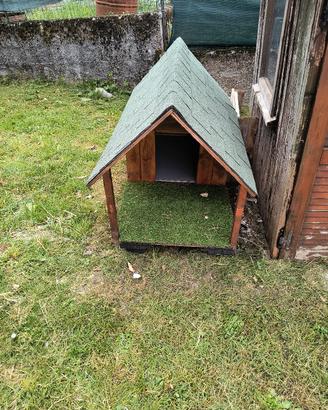 cuccia cane