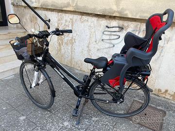 Lombardo Modena
