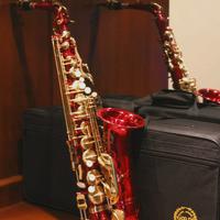 Sassofono Contralto Grassi | SAL700R