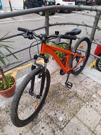 Bicicletta Mountain Bike