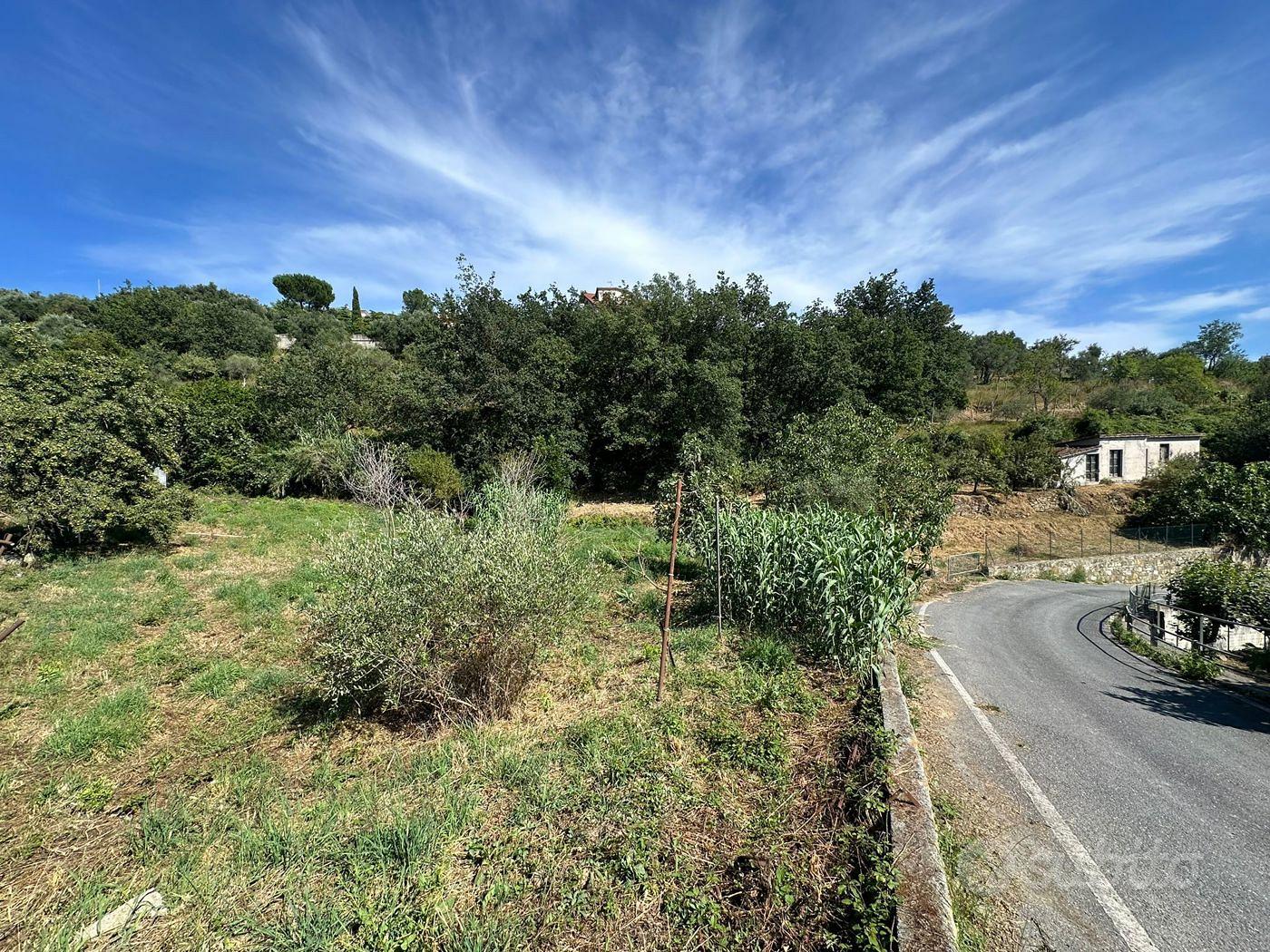 Terreno Residenziale Imperia [Cod. rif 802VRG] - Vista 4