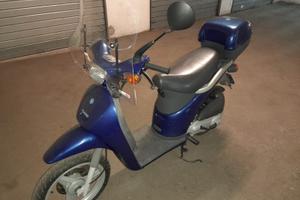 Piaggio free marciante 50cc