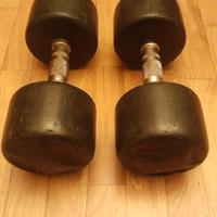 Manubri Pesi Professionali Gommati 12.5 kg cad.