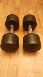 Manubri Pesi Professionali Gommati 12.5 kg cad.