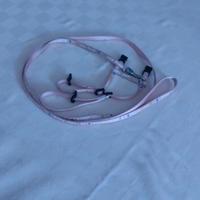 accessori gatto 