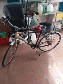 bicicletta Adriatica 