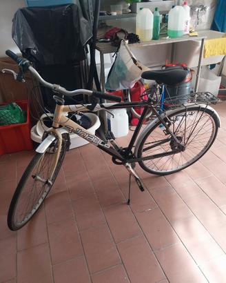 bicicletta Adriatica 