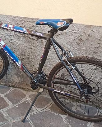 bicicletta