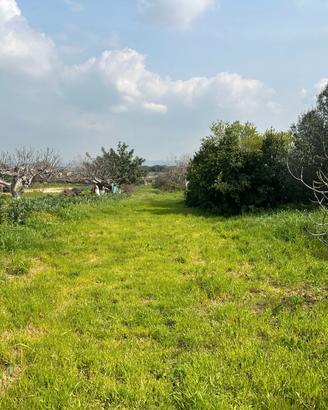 Rif.110 viale unita' d'italia