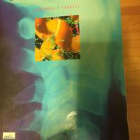 BIOCHIMICA- Libro universitario