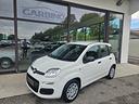 fiat-panda-1-0-firefly-s-s-hybrid-icon