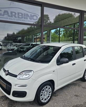 Fiat Panda 1.0 FireFly S&S Hybrid Icon