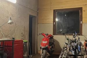 stalker 50
