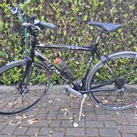 Bicicletta uomo passeggio corsa Olympia