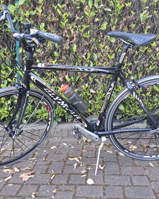 Bicicletta uomo passeggio corsa Olympia