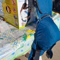 zainetto marsupio  bimbo