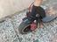 Immagine 2