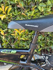 bicicletta bx kawasaky