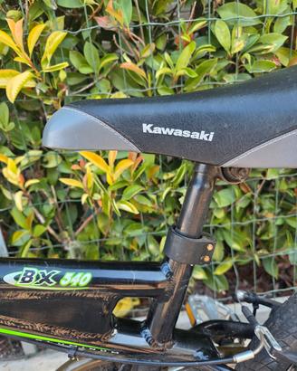 bicicletta bx kawasaky