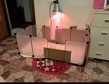 Recinto+lampada infrarossi (per riscaldare)