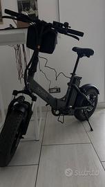 Bicicletta Elettrica