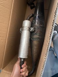 Marmitta pinascoli piagio