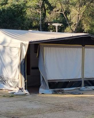 Caravan Wilk S3 Safari 490 KM 6 Posti Full Optiona
