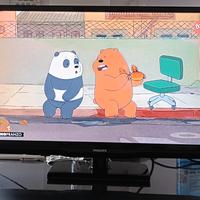 TV Philips 24PHH4109/88