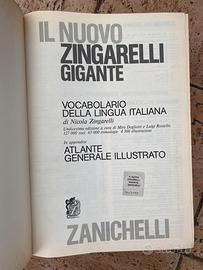 Il nuovo zingarelli gigante undicesima edizione