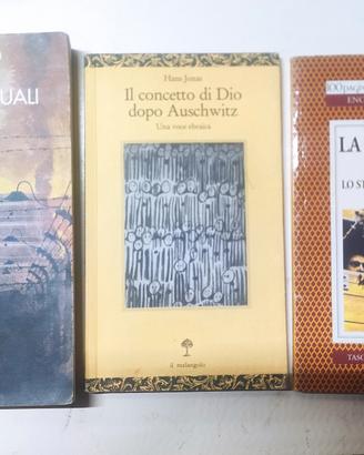 lotto libri storia Auschwitz  sterminio ebrei