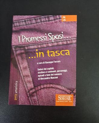 I promessi sposi..in tasca 2008
