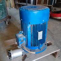 Motore trifase Leporis 7,5kW