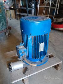 Motore trifase Leporis 7,5kW