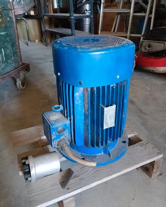 Motore trifase Leporis 7,5kW