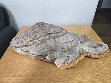 pedana galleggiante per tartarughe