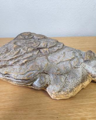 pedana galleggiante per tartarughe