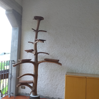 Albero tiragraffi per gatti o fioriera