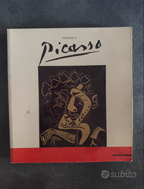 Omaggio a Picasso