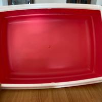 Cassetta igienica per gatti