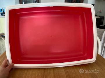 Cassetta igienica per gatti