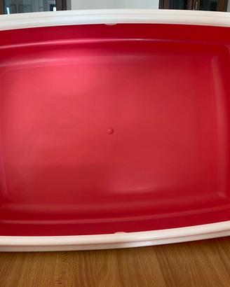 Cassetta igienica per gatti