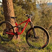 bici da enduro 